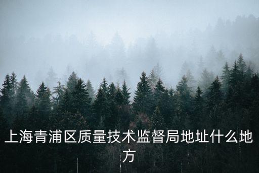 上海青浦區質量技術監督局地址什么地方