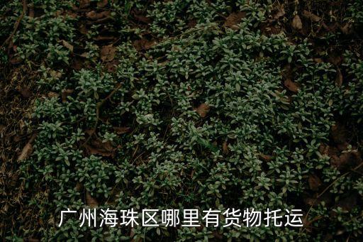 廣州海珠托管倉庫，廣州海珠區有物流托運公司嗎請給地址電話謝謝最好離工業大道