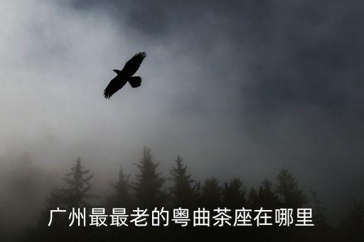 廣州老茶樓照片，廣州最最老的粵曲茶座在哪里