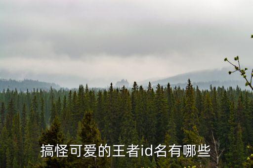 搞怪可愛的王者id名有哪些