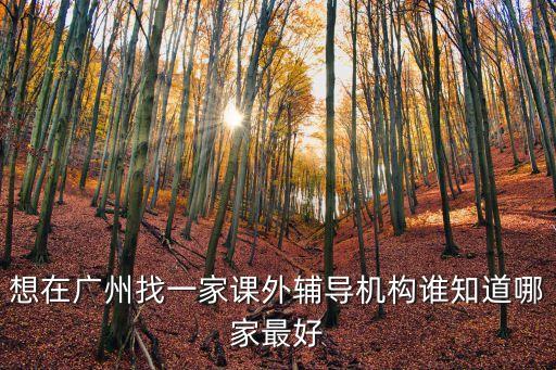 想在廣州找一家課外輔導機構誰知道哪家最好