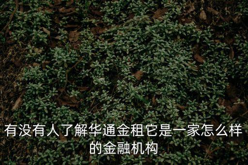 廣州自貿(mào)區(qū)租賃中心，有沒有人了解華通金租它是一家怎么樣的金融機構(gòu)