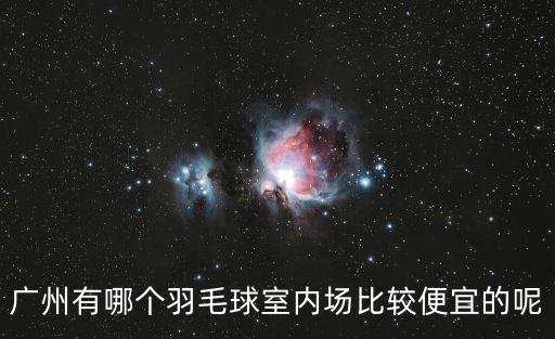 廣州有哪個羽毛球室內場比較便宜的呢