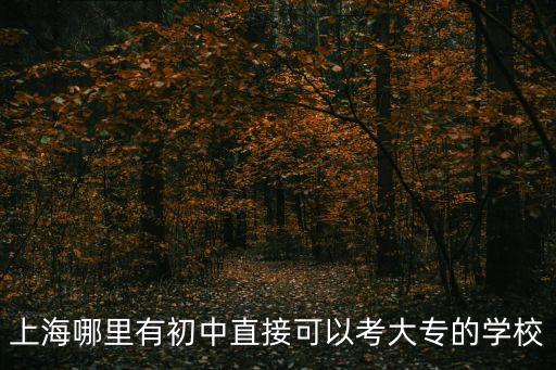 上海哪里有初中直接可以考大專的學校