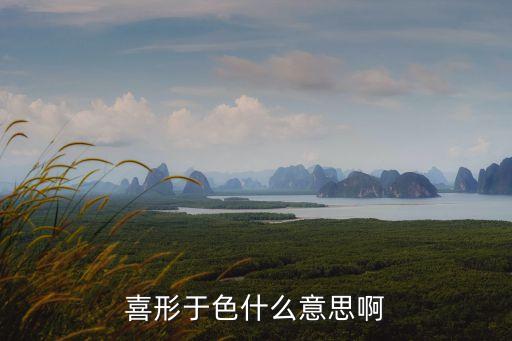 喜形于色什么意思啊