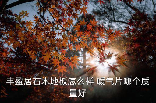 廣州豐盈居如何，豐盈居石木地板怎么樣 暖氣片哪個質量好