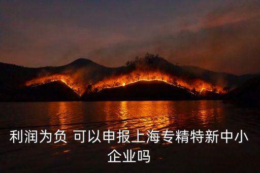 利潤為負 可以申報上海專精特新中小企業嗎