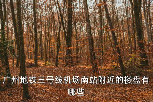 廣州南站樓盤分布，廣州地鐵三號線機場南站附近的樓盤有哪些