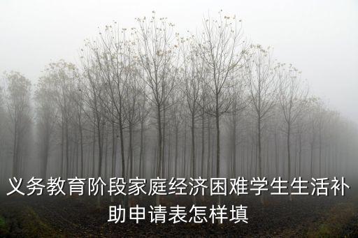 上海市義務(wù)教育學(xué)生資助申請(qǐng)表，助學(xué)金申請(qǐng)表怎么填