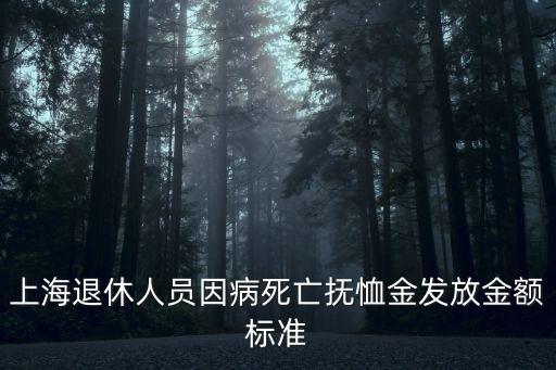 上海退休人員因病死亡撫恤金發(fā)放金額標(biāo)準(zhǔn)