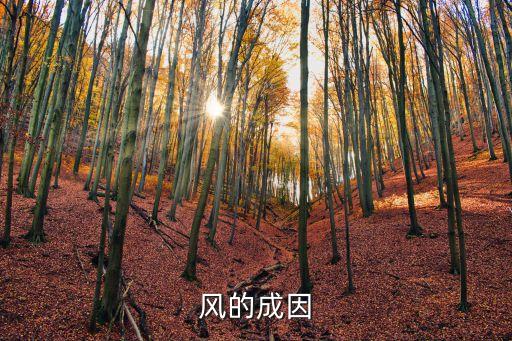 風(fēng)的成因