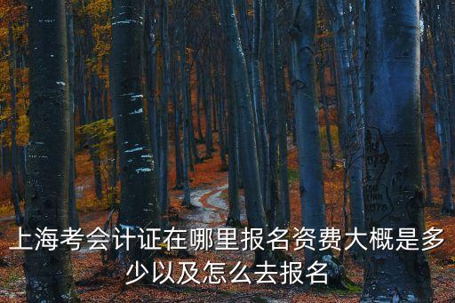 上海考會計證在哪里報名資費大概是多少以及怎么去報名