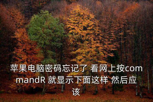 蘋果電腦密碼忘記了 看網上按commandR 就顯示下面這樣 然后應該