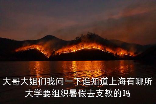 上海市暑期支教優(yōu)秀隊伍，大哥大姐們我問一下誰知道上海有哪所大學要組織暑假去支教的嗎