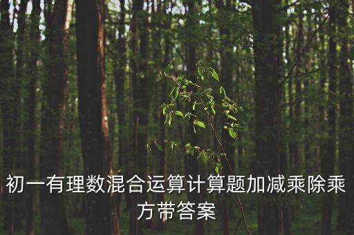初一有理數混合運算計算題加減乘除乘方帶答案