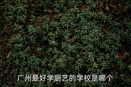 廣州哪兒學烹飪技術好，廣州烹飪學校哪個好