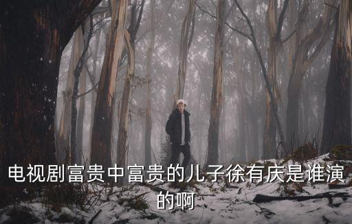 電視劇富貴中富貴的兒子徐有慶是誰(shuí)演的啊