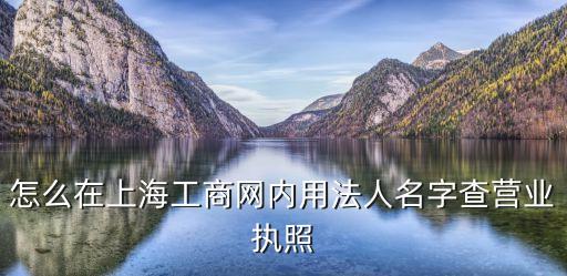 怎么在上海工商網內用法人名字查營業執照