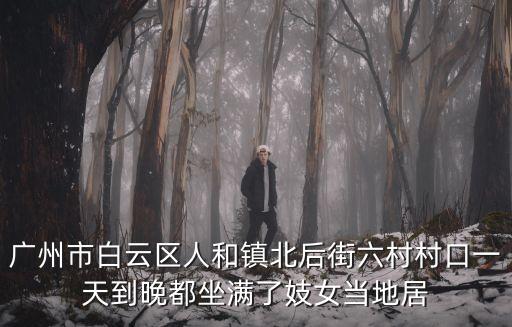 廣州人和鎮橫瀝村幼兒園圖片，盤龍城名流人和天地有哪些幼兒園