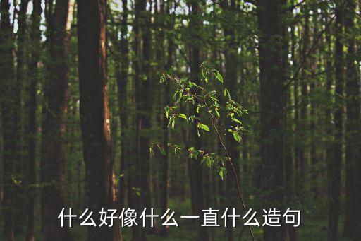 什么好像什么一直什么造句
