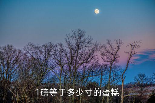 1磅等于多少寸的蛋糕
