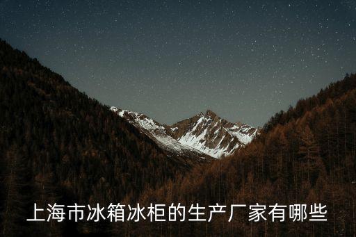上海市冰箱冰柜的生產廠家有哪些