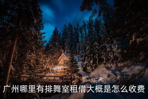 廣州淄博海獅租賃表演價格，廣州哪里有排舞室租借大概是怎么收費