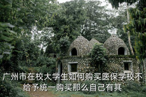 廣州學生交醫保需要什么手續，廣州市在校大學生如何購買醫保學校不給予統一購買那么自己有其
