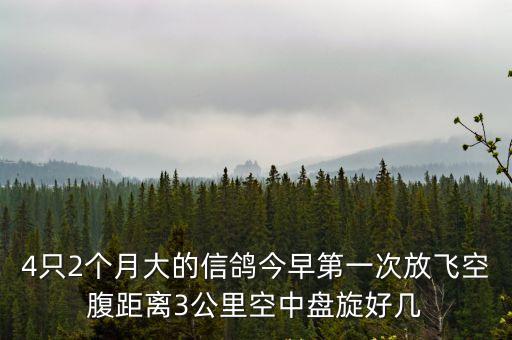 廣州天鴿視頻大全，依家廣州邊最靚
