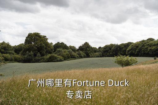 廣州哪里有Fortune Duck專賣店
