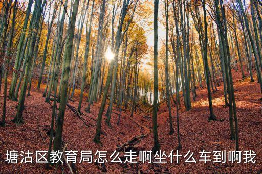 上海市塘沽學校  電話，上海市塘沽學校是小學還是中學