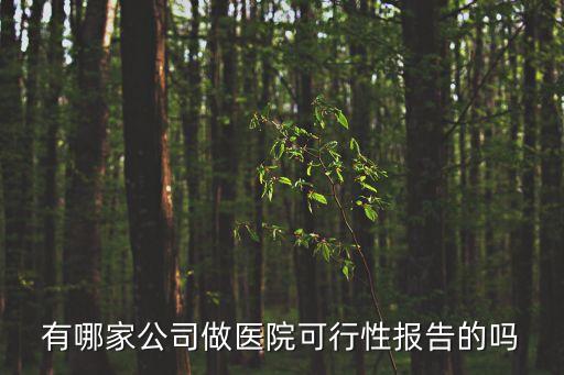 有哪家公司做醫院可行性報告的嗎