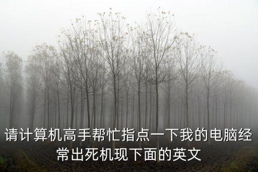 請(qǐng)計(jì)算機(jī)高手幫忙指點(diǎn)一下我的電腦經(jīng)常出死機(jī)現(xiàn)下面的英文
