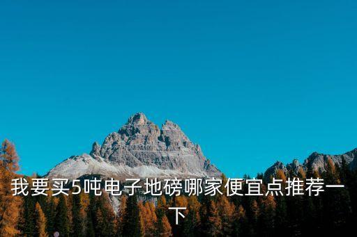 廣州地磅哪家便宜，電子磅秤多少錢一把 我想問到可以稱到250公斤的在廣州附近那里