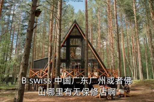 B swiss 中國(guó)廣東廣州或者佛山哪里有無(wú)保修店啊