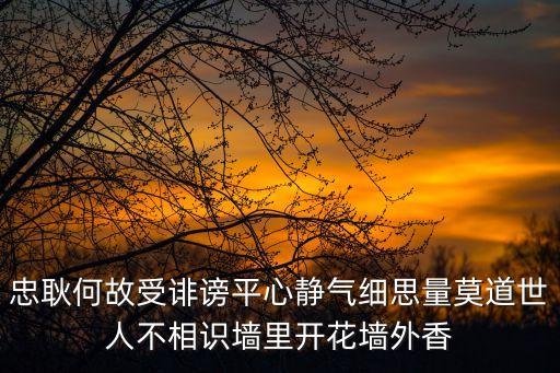 忠耿何故受誹謗平心靜氣細思量莫道世人不相識墻里開花墻外香