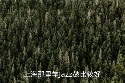上海市區學打鼓，上海哪里有的學架子鼓的