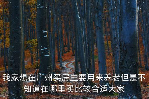 我家想在廣州買房主要用來養老但是不知道在哪里買比較合適大家