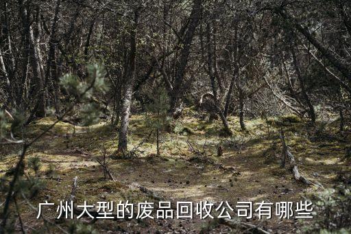 廣州大型的廢品回收公司有哪些