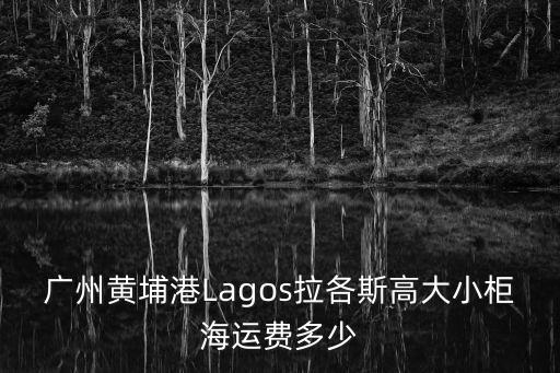 廣州黃埔港Lagos拉各斯高大小柜海運費多少