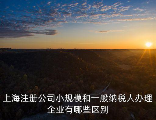 上海注冊公司小規(guī)模和一般納稅人辦理企業(yè)有哪些區(qū)別