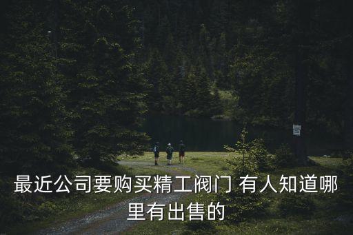 最近公司要購買精工閥門 有人知道哪里有出售的