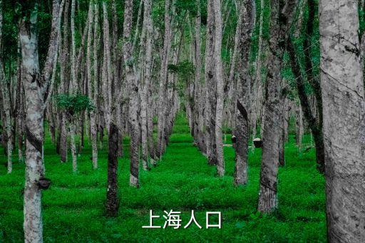 上海人口