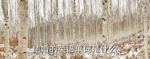 結婚英語，結婚英語怎么寫