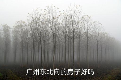 廣州東北向的房子好嗎