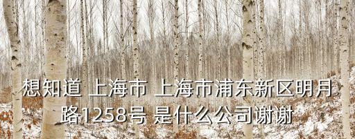 上海市虞美人資本，上海市黃浦區九江路680號是什么公司