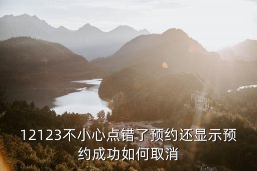 12123不小心點錯了預約還顯示預約成功如何取消