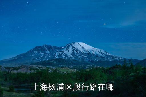 上海市楊浦區有個殷行，上海楊浦區殷行路在哪