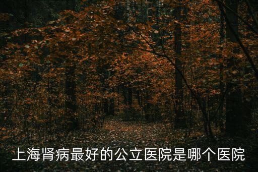 上海腎病最好的公立醫院是哪個醫院