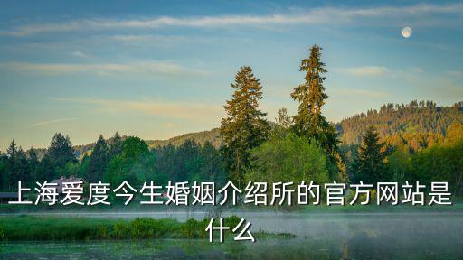 上海愛度今生婚姻介紹所的官方網站是什么
